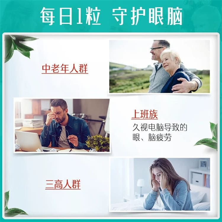 Omega-3 EPA DHA 魚油日常營養補充 循環保養 腦部營養 3C用眼保養